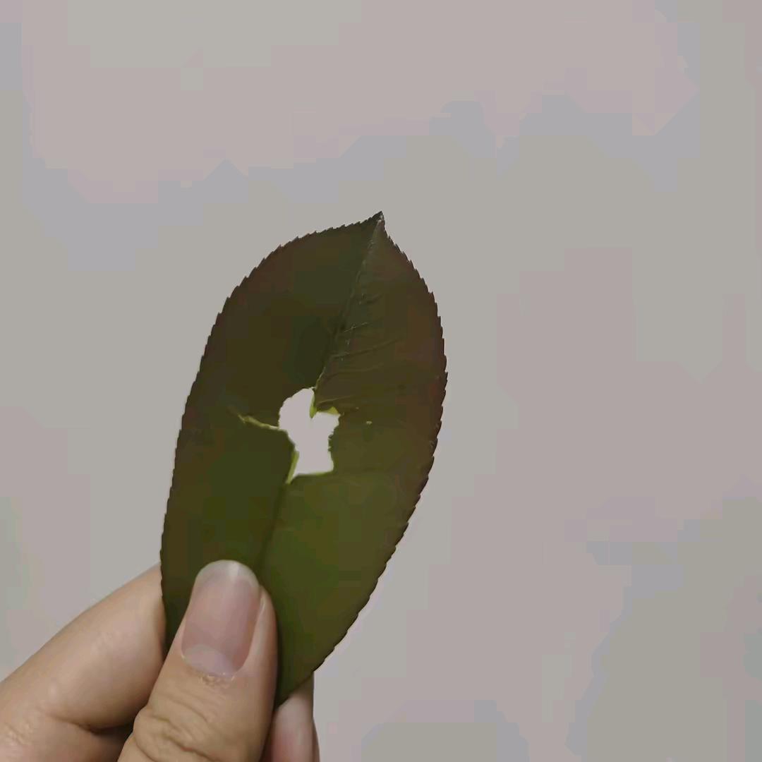 王者荣耀 有腿毛的锅锅