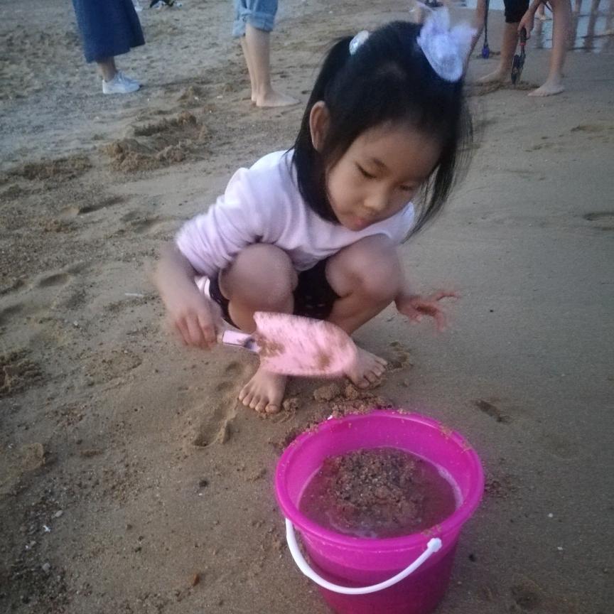 秋风送爽，果儿飘香