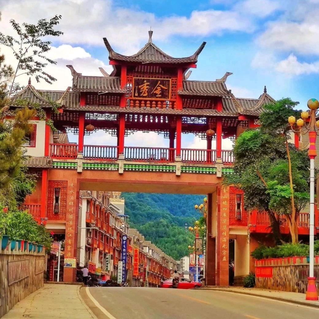 大瑶山一草一木