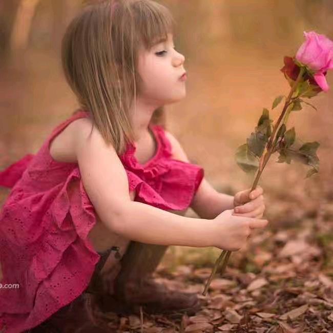 孙村华联超市啄木鸟专柜