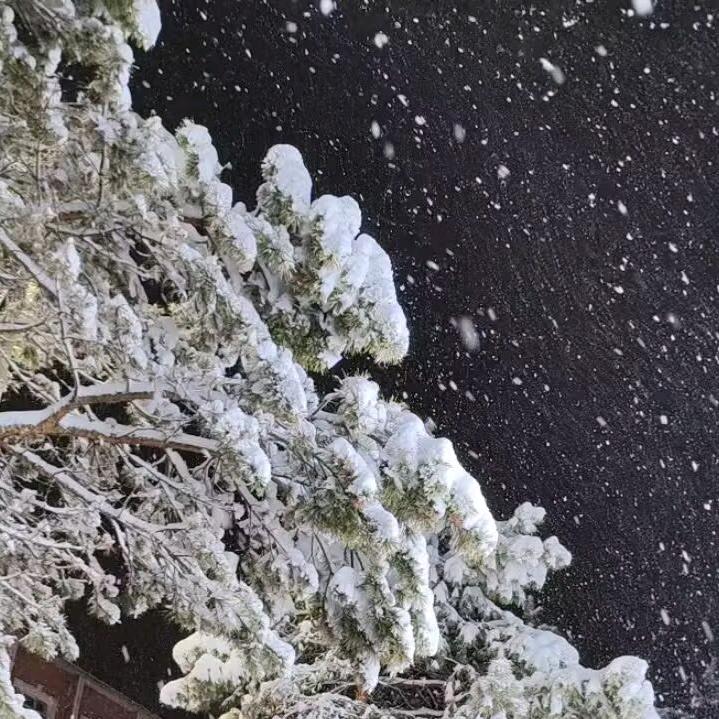 奶糖里的梦