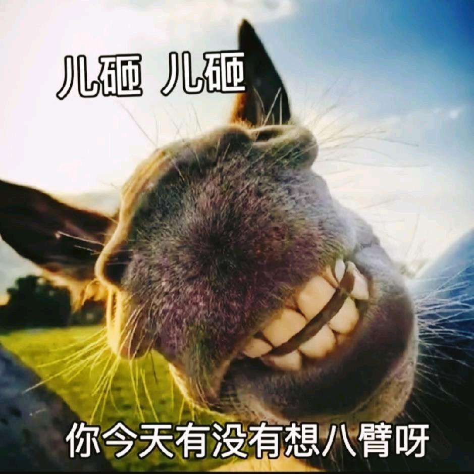 臣林二手无人机俊龙