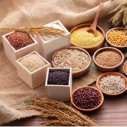 大浩说三餐-羽毛与轻