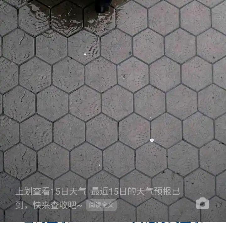 用户4283395052063