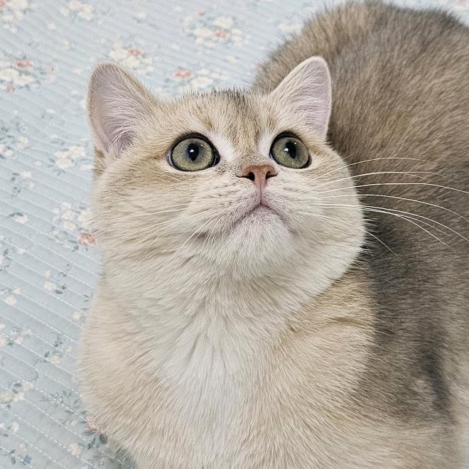 有那么开心么？