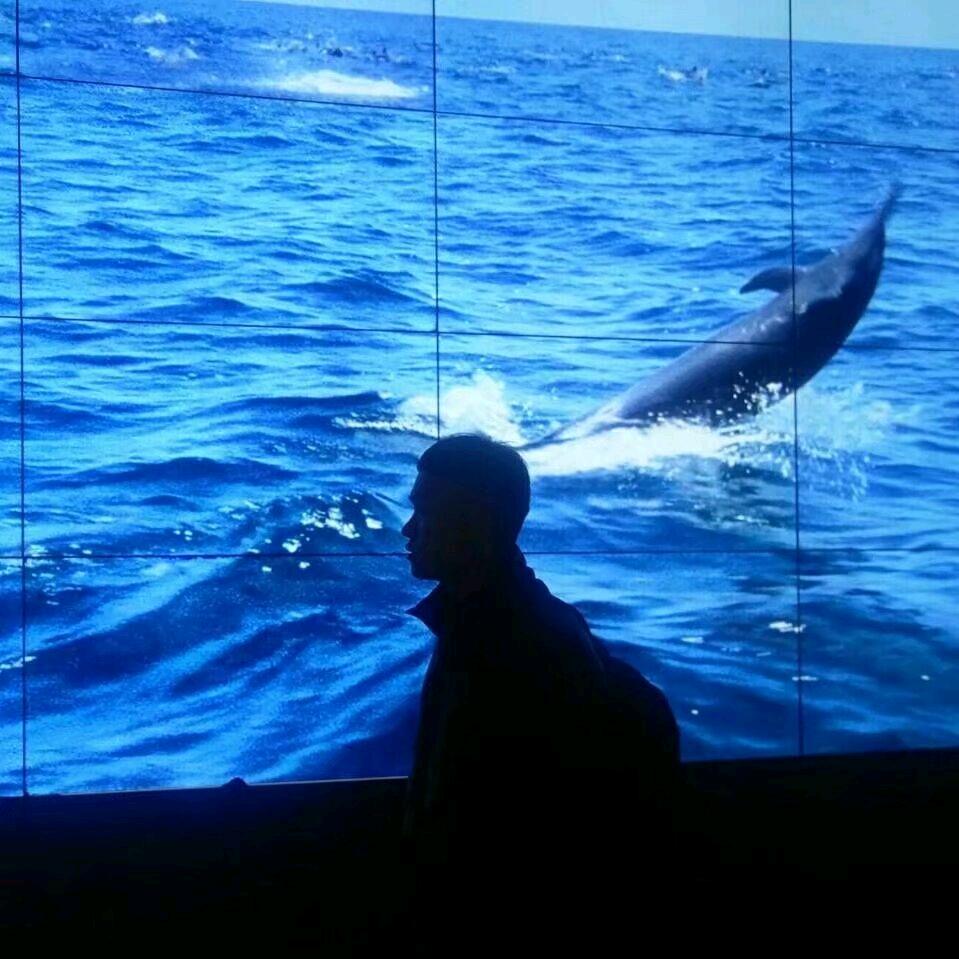 管管✔浪迹天涯