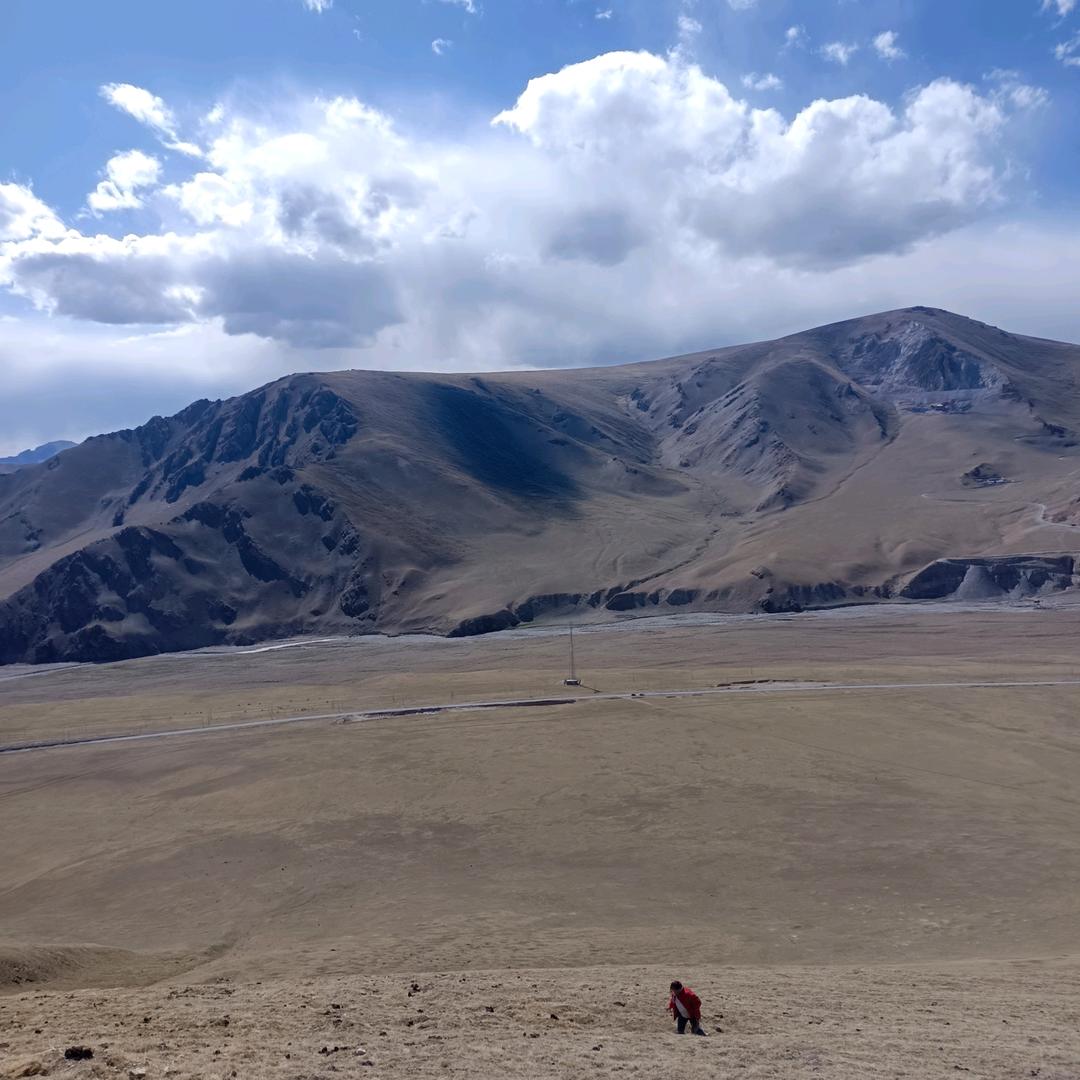 四川盐亭的人在新疆