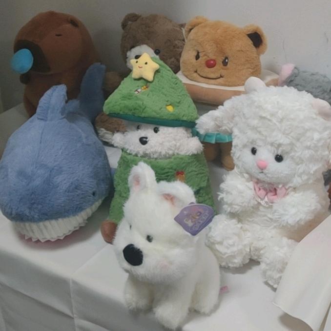琦趣妙妙屋