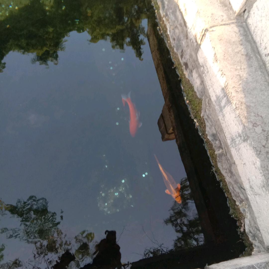 用户961694361578