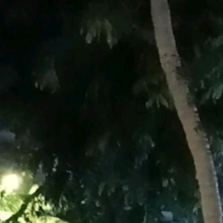 （彭小姐）3D