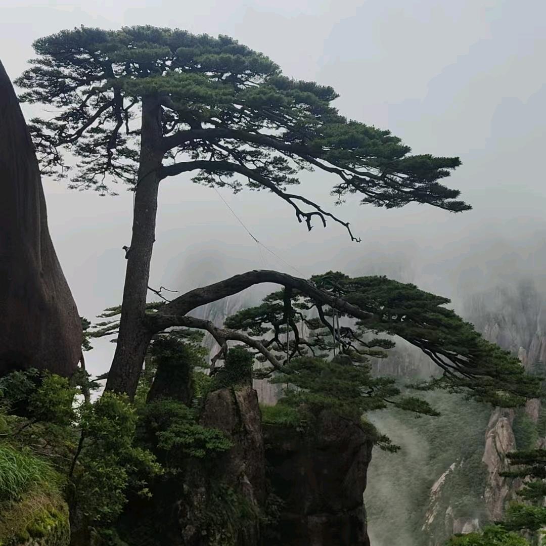 皖升标识  龙马喷绘     抚平