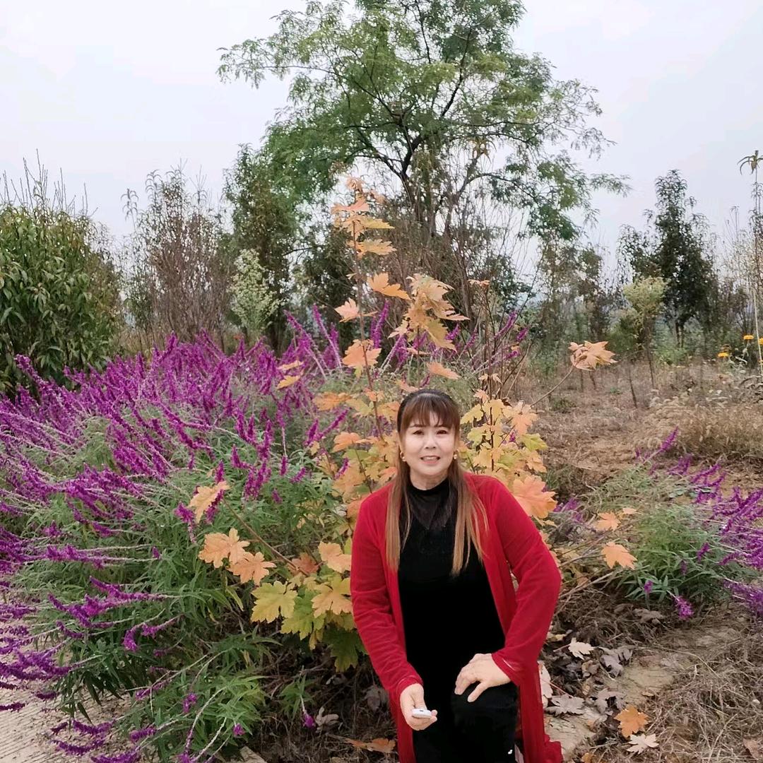 老邓🥯🍞🥖🥔🧀🍀🌸🌷🌹