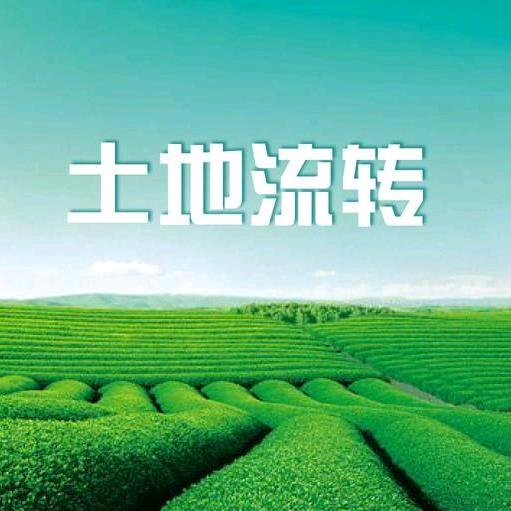 耕耘者