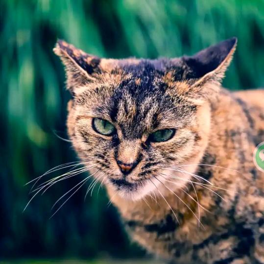 退网疗伤中（勿扰）