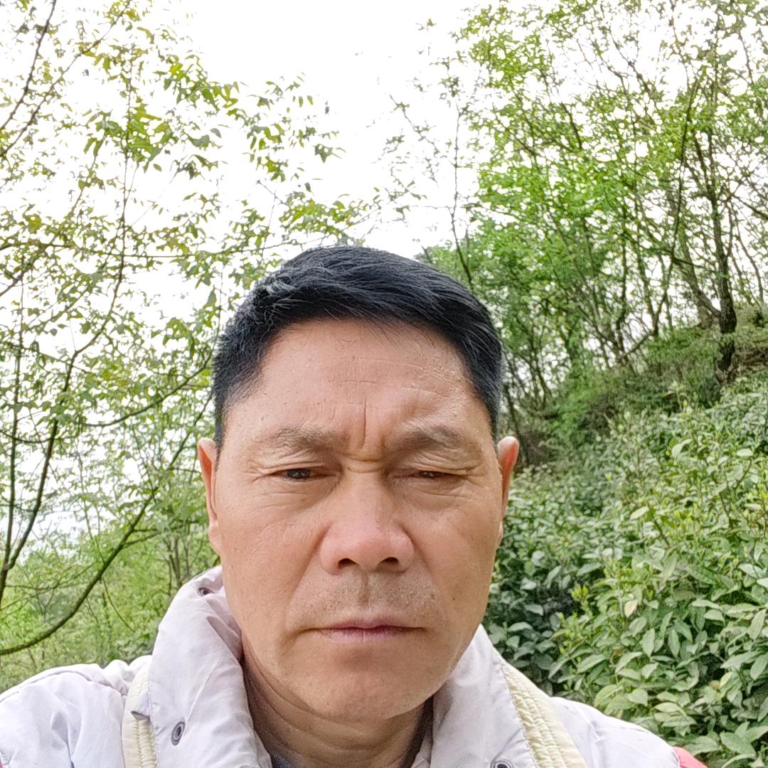 陇南草药传承人老张