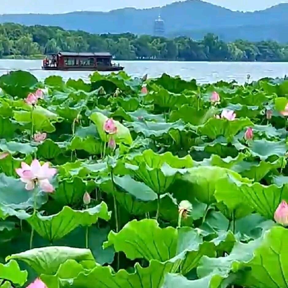 人生只能靠自己