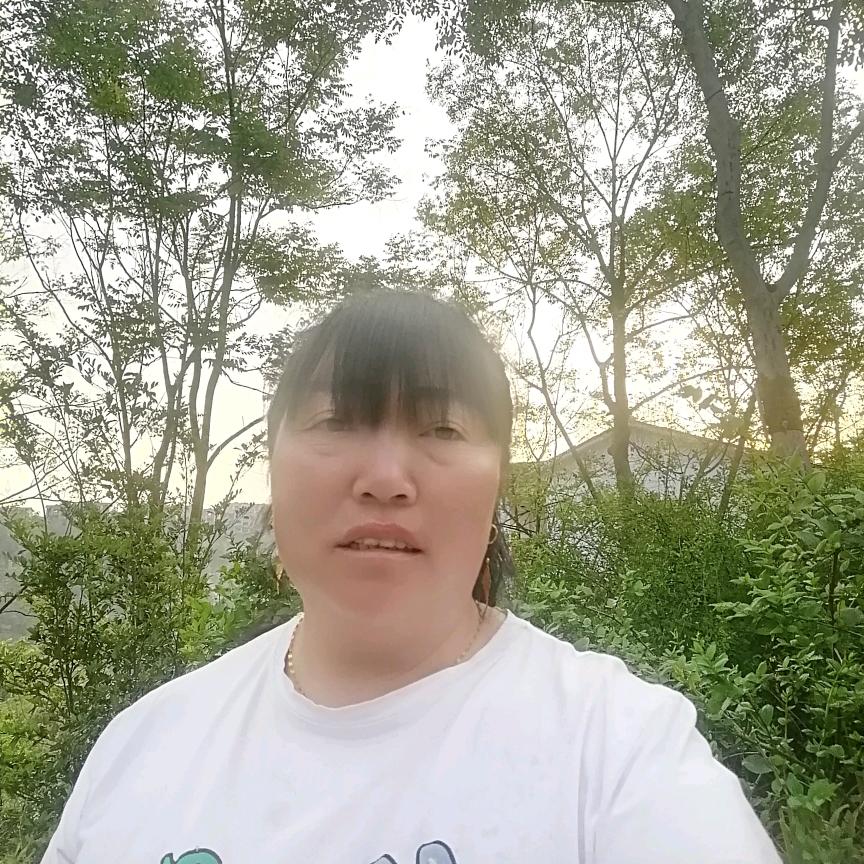 陶三姐