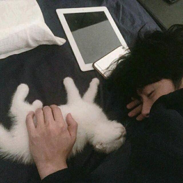 香蕉你个不拿拿