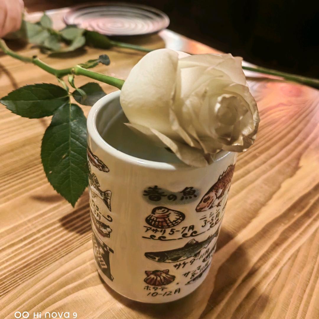 橘子水头像
