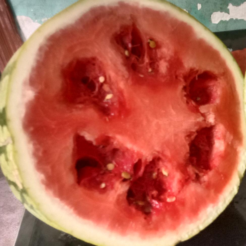 有苦难言