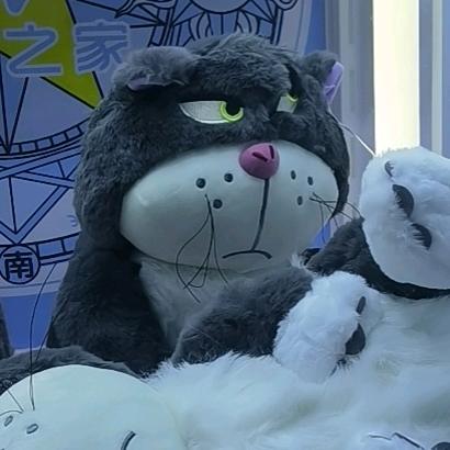 极狐阿尔法S5车友会