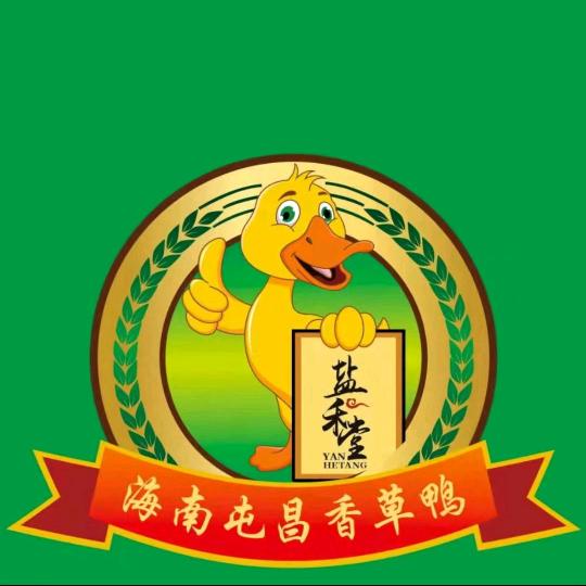 海南屯昌香草鸭（九所店）