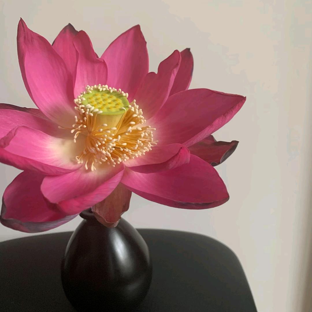 孟思炎头像