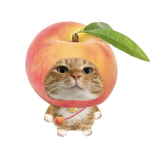 平平仄仄平平者