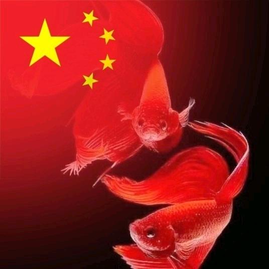 聆风