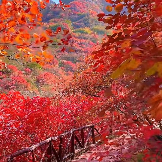 致青春，赴山海