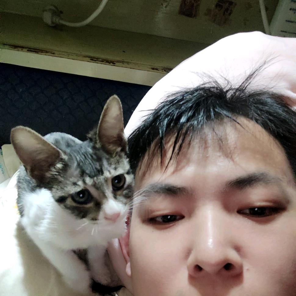 施勇（爱生活）