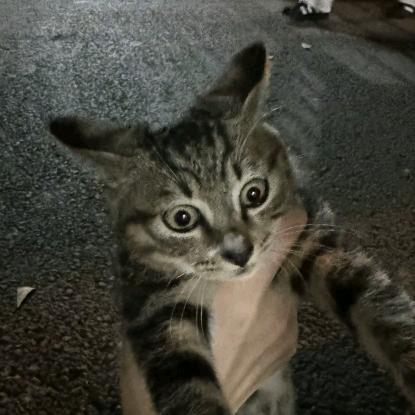 你总是一副不开心的样子