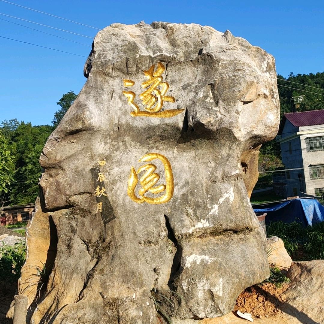 情为何物