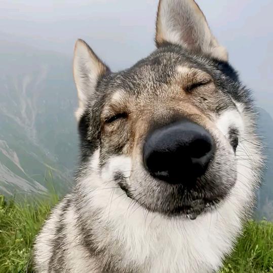 十一月的雨
