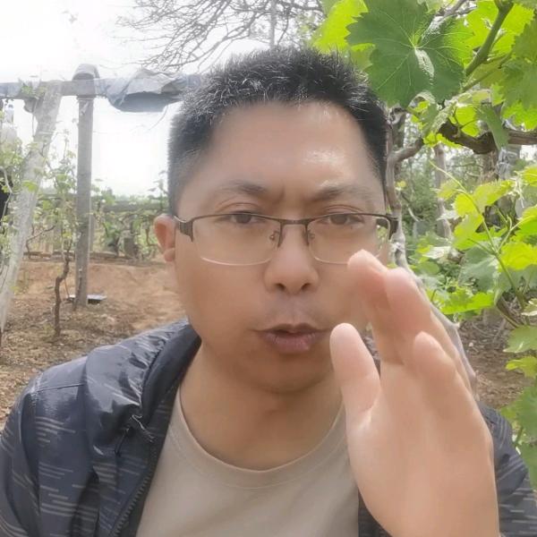 小聂聊膨果