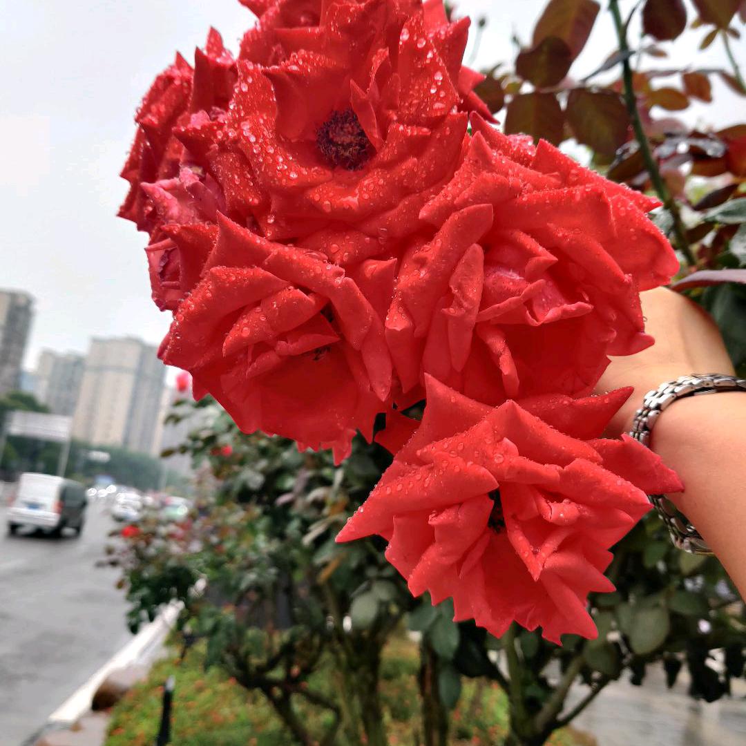 幸福一个家