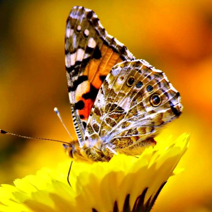 邢台弘亮建筑装饰