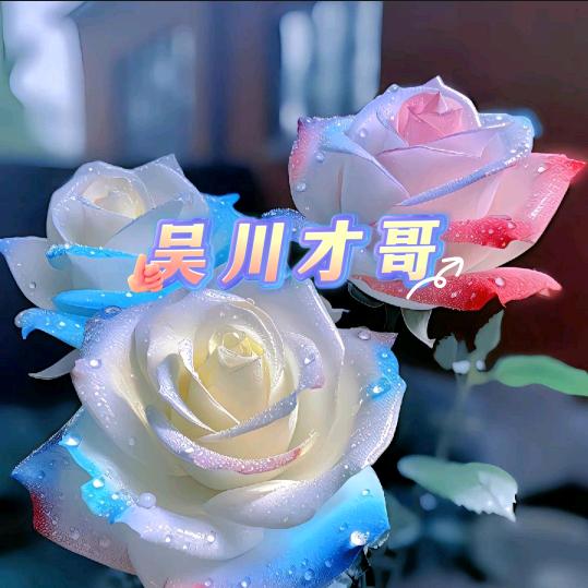 吴川才哥