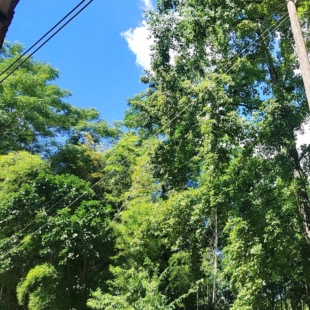 钥匙才懂锁的心