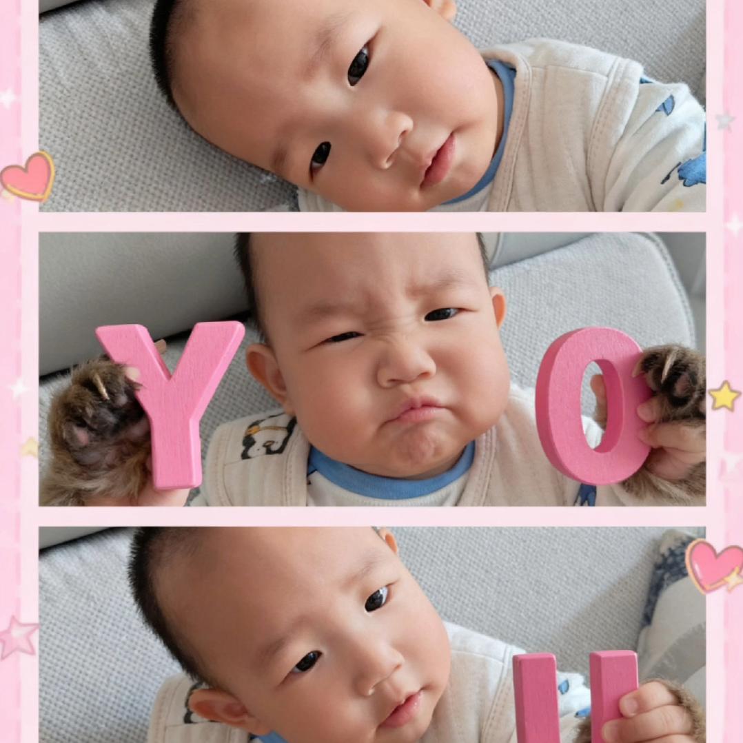 我的养乐多😍