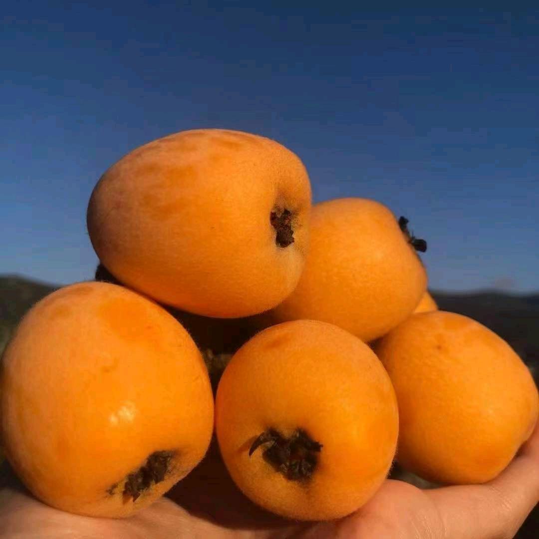 难哄翠翠