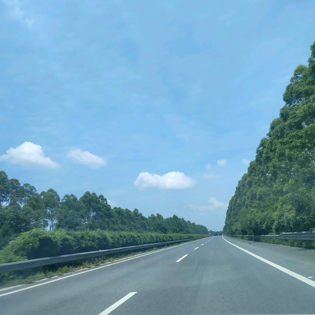 罗姐