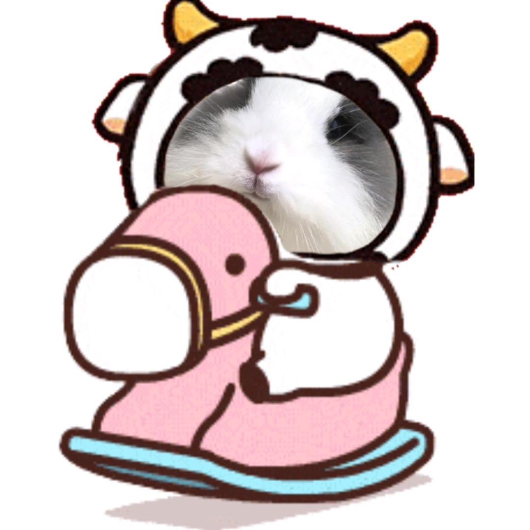 米粒