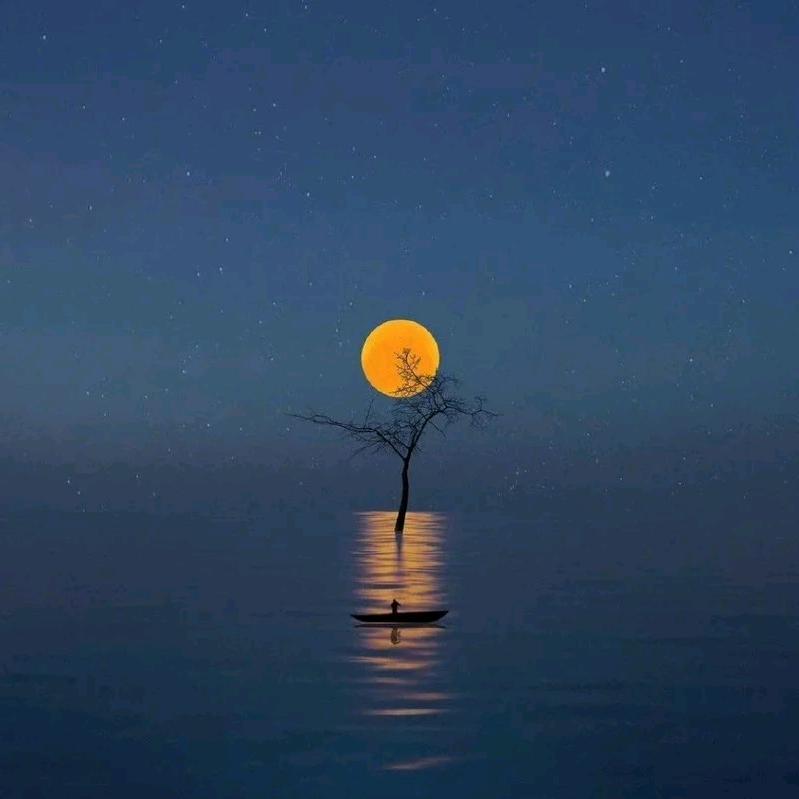 帕尔哈提