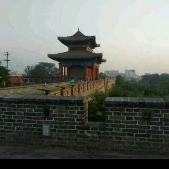 万堤镇农特产品代言