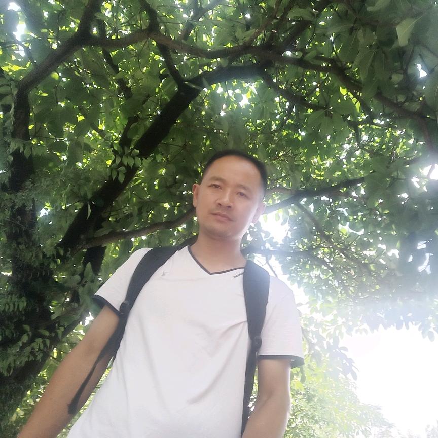 刘安