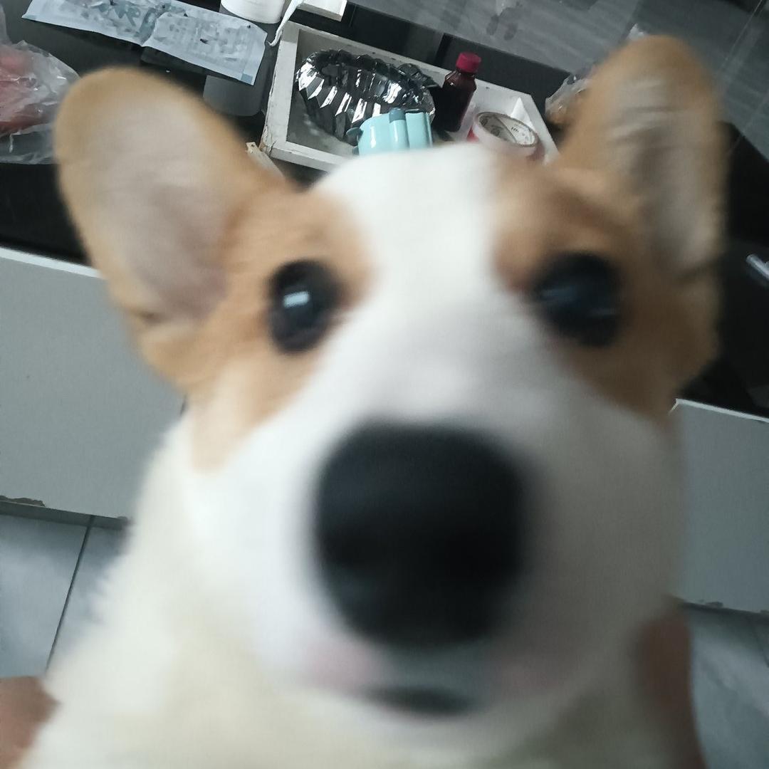 阿王 （贪吃版）