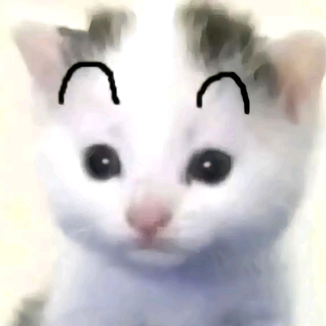 颖
