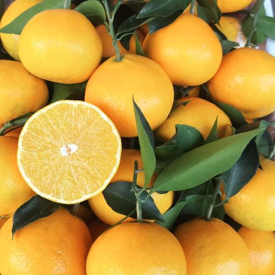 卖水果的小哥哥