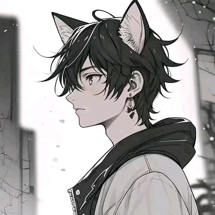 冒险猫